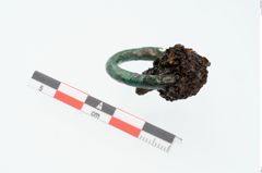 Foto von Bronzering (NHMW-PRAE-025845)
